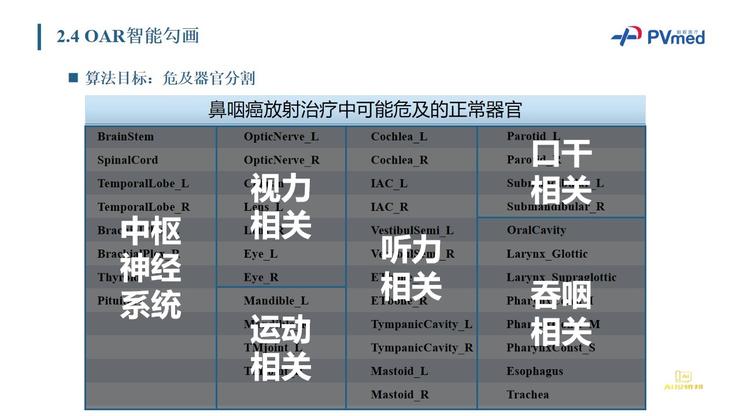 Live回顾 | 柏视医疗创始人：从AI入手，如何解决鼻咽癌放疗靶区勾画的临床痛点？