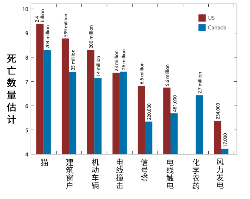 腾讯参与防鸟撞改造，成为全国首家参与防鸟撞改造的互联网企业